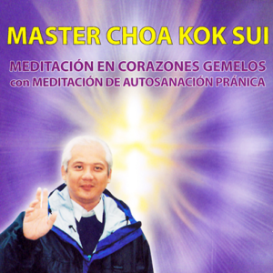 CD - Meditación en Corazones Gemelos con meditación de autosanación Pranica - Precio con descuento