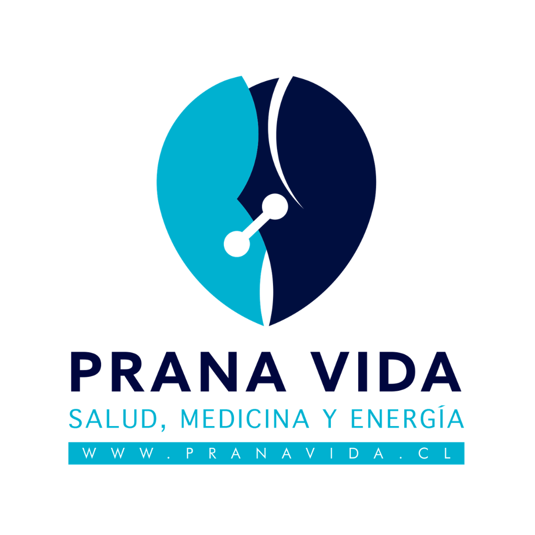 https://pranavida.cl/wp-content/uploads/2021/07/01.-Logo-Pranavida.png