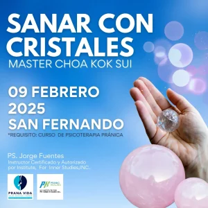 CURSO DE PRANIC HEALING (SANACIÓN PRÁNICA) CON CRISTALES - 9 de febrero 2024 - SAN FERNANDO