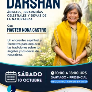 Curso DARSHAN - 10 Octubre 2026 - Santiago