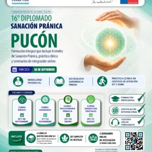 16ª Versión Diplomado en Sanación Pránica 2026 - Pucón - todos los niveles